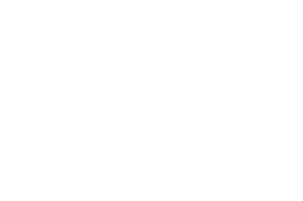Grupo Lafken